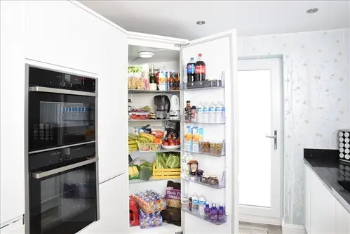 Fridge Repair